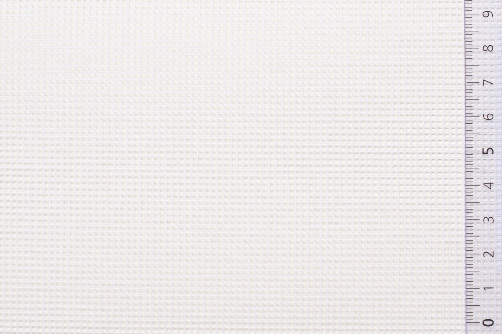 01CAN54WHIxxxCOT[CANVAS 54 (No8)](WHITE)F